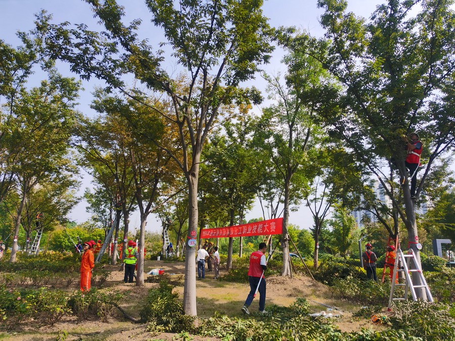 1727520479434 mmexport1727518480522