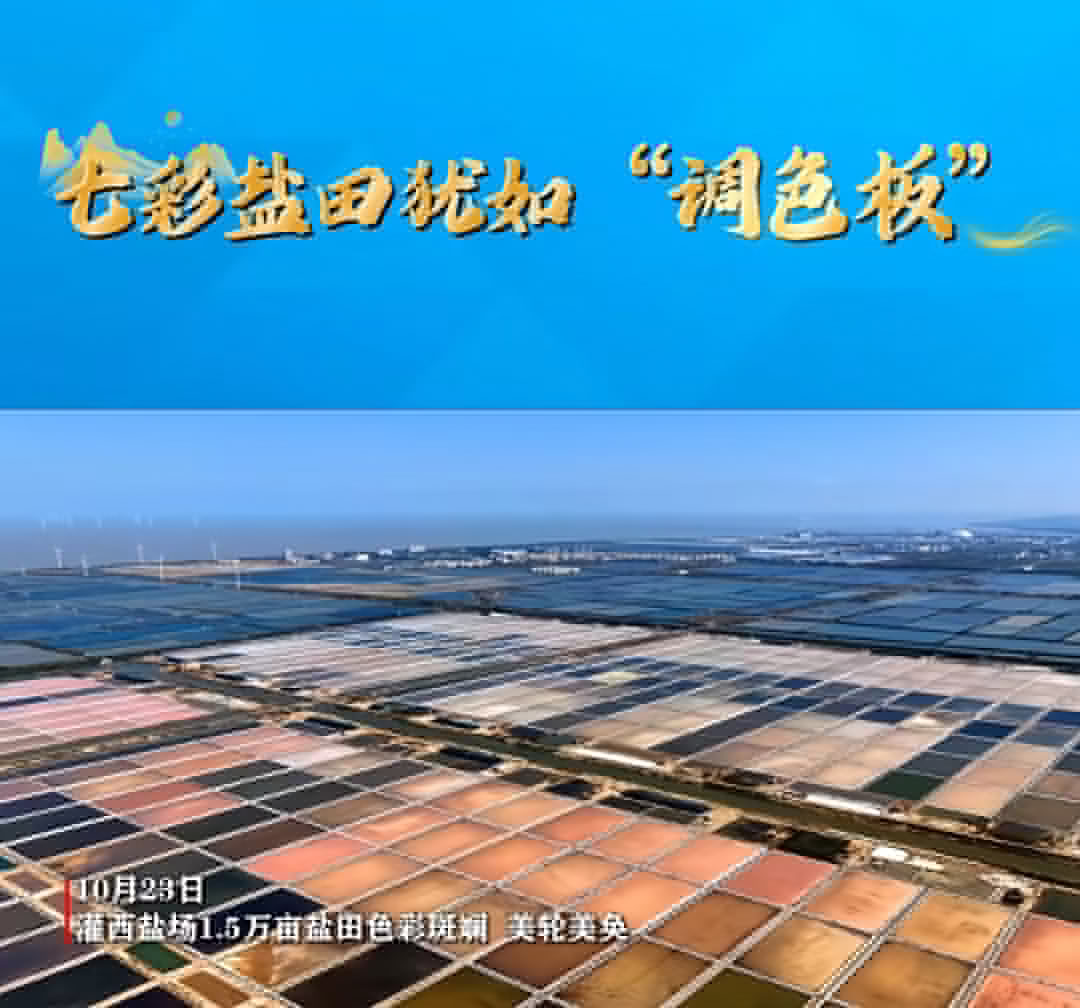 微信圖片_20251029080319_208_685