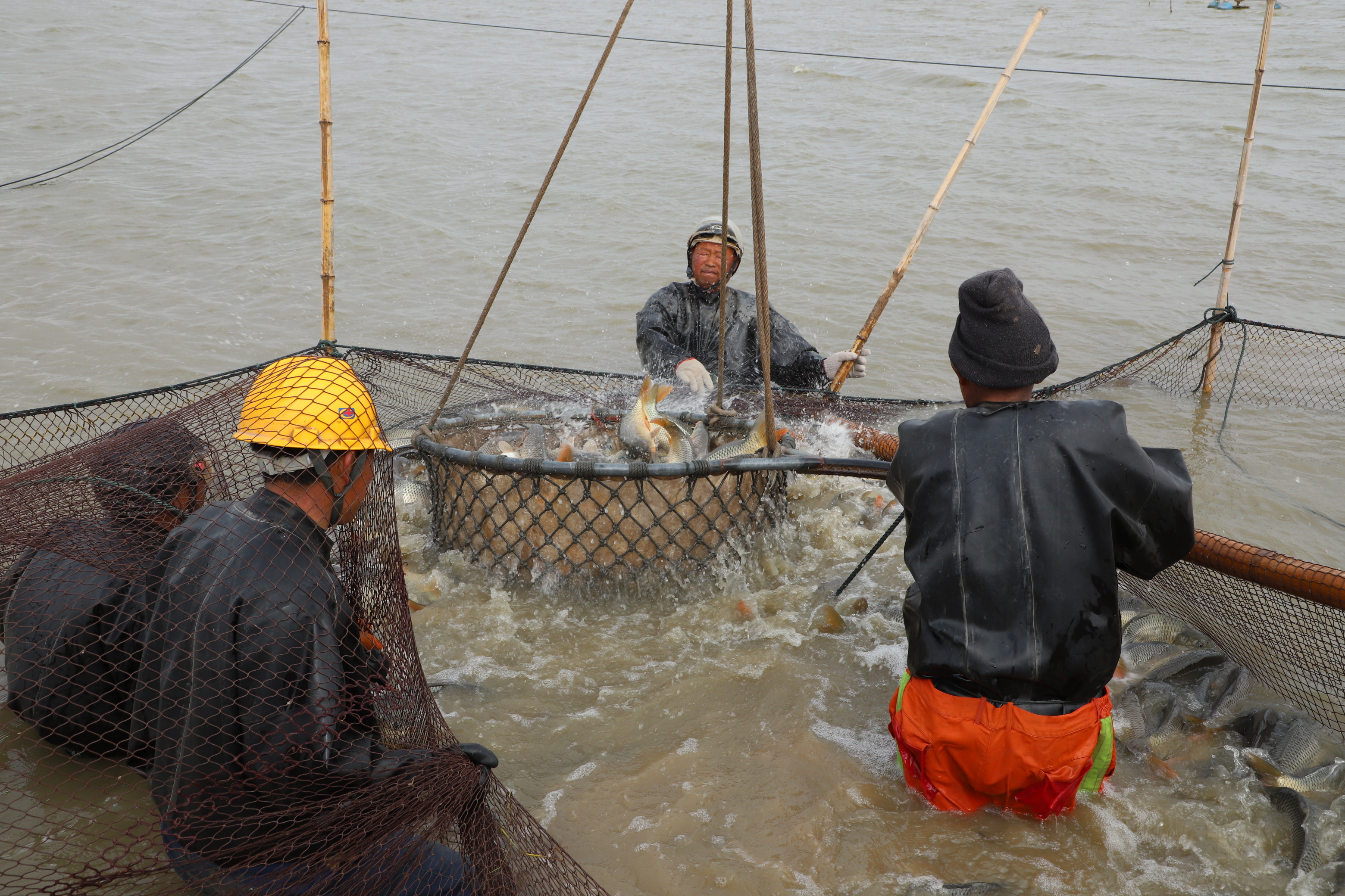 IMG_9031.JPG IMG_9031.JPG